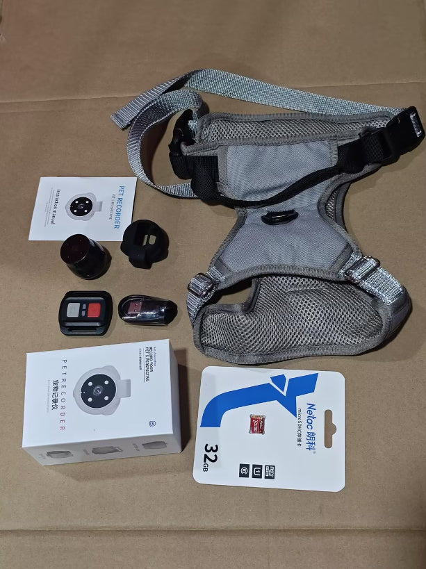 Dogs And Cats Viewing Angle Motion Recording Camera Action