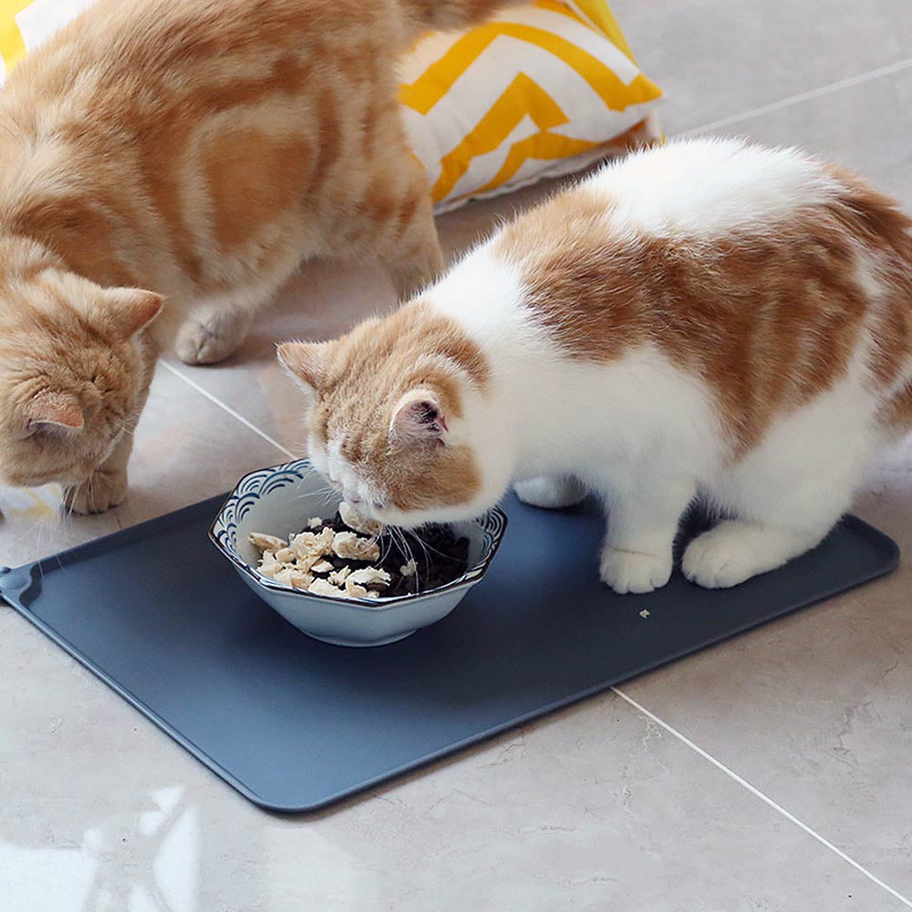 Waterproof Pet Food Mat/ Silicone Spill Mat (Size/ Color Options)
