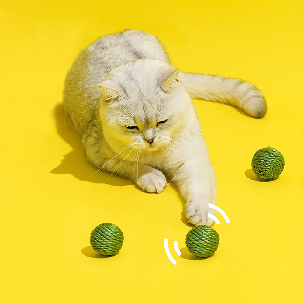 3PCS Cat Toy Balls/ Interactive Sisal Rope Balls with Rustling Sound Pea Pod Storage