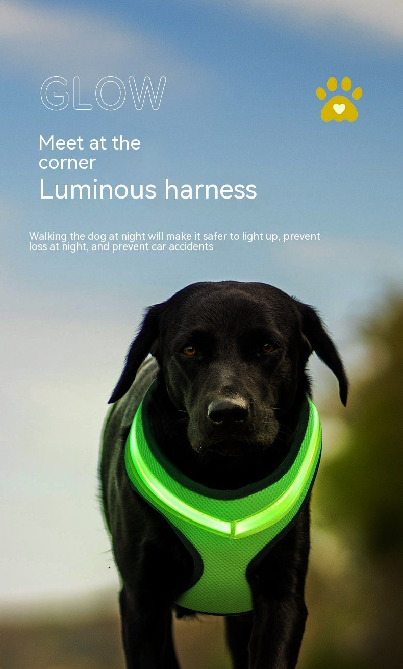 LED Luminous Dog Harness Led USB Charging