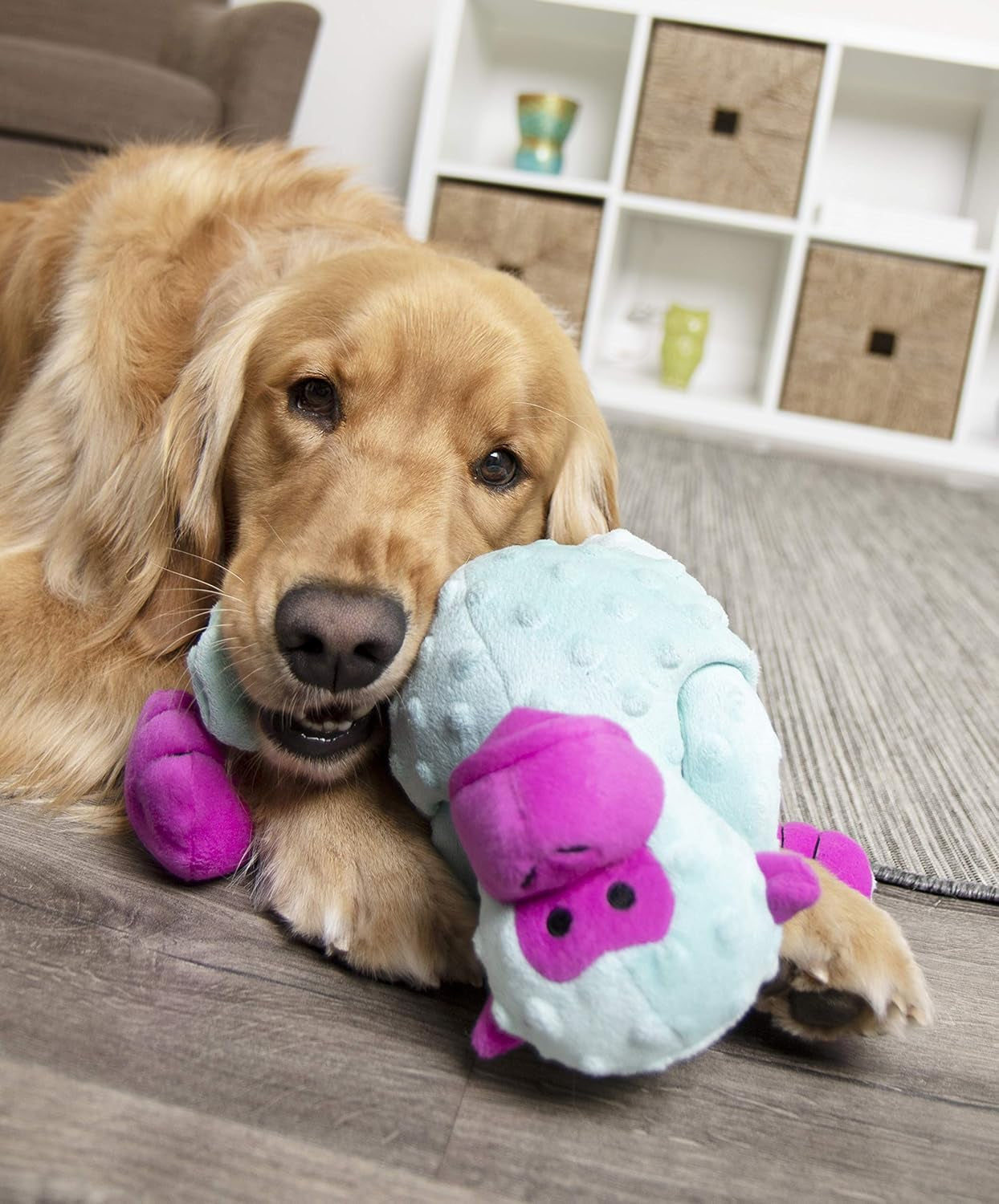 Crazy Tugs Large Turquoise Monkey Squeaky Plush Tug Dog Toy with Chew Guard Technology