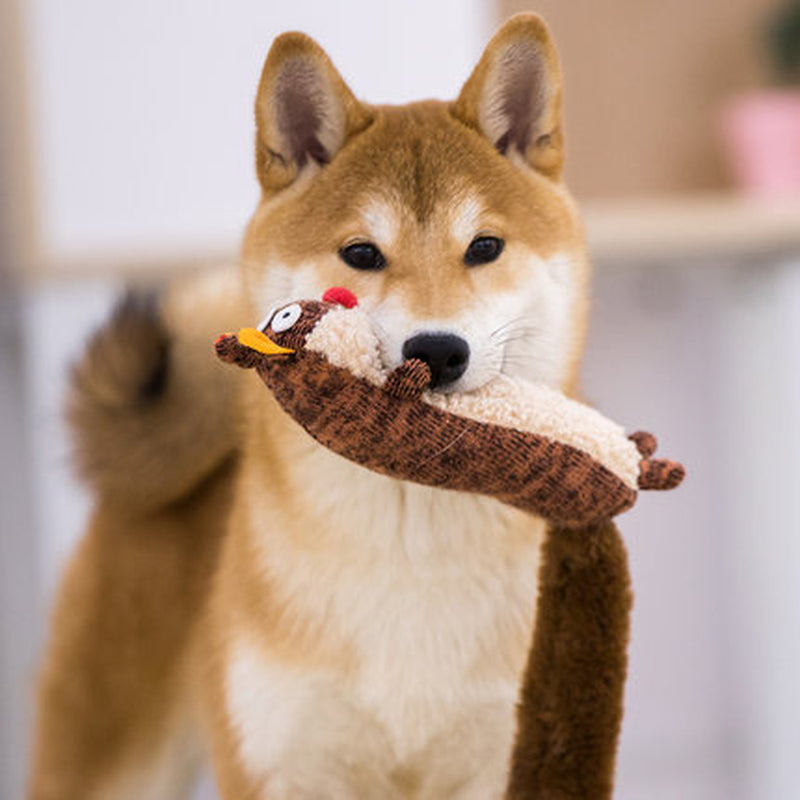 Plush Squeaky Dog Toys (Options)