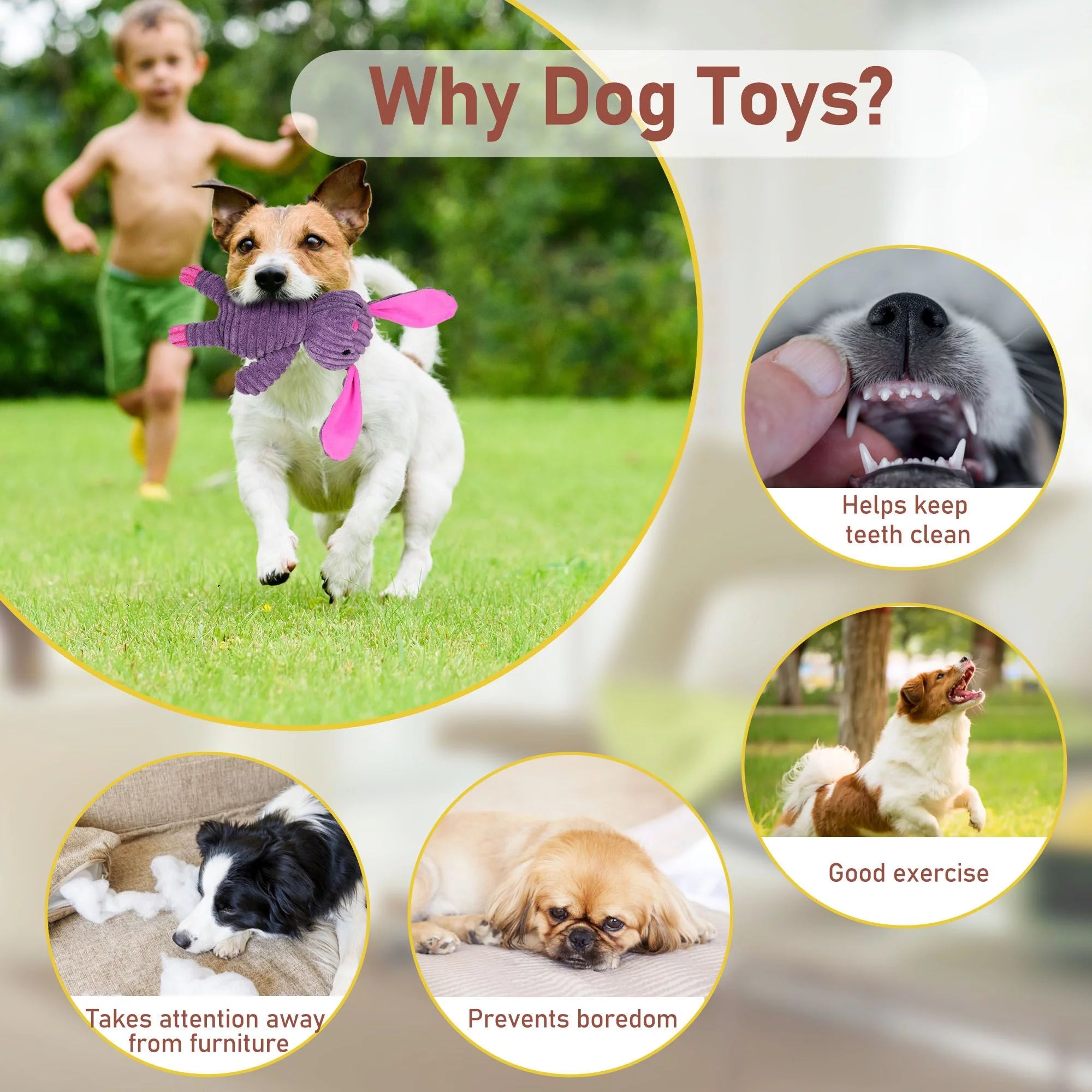 Plush Dog Squeaky Toys/ 5 Pack