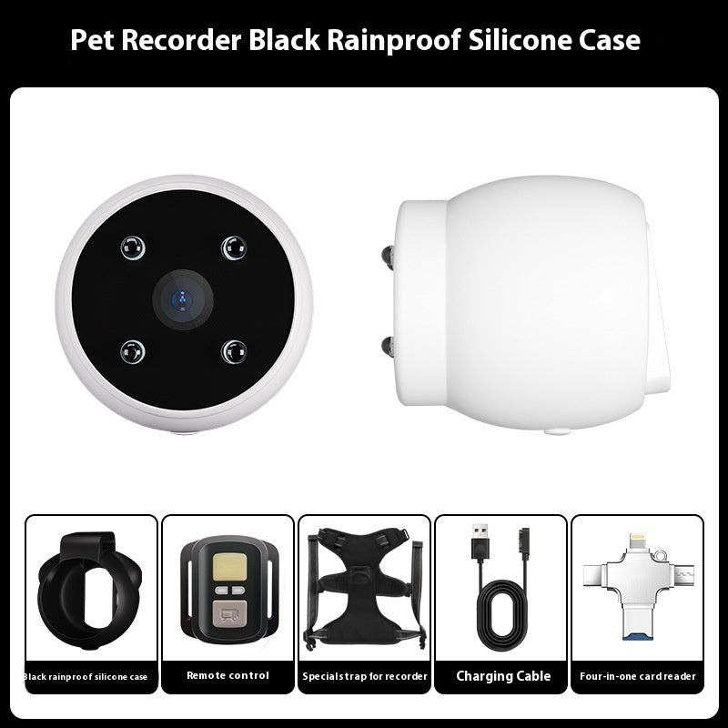 Dogs And Cats Viewing Angle Motion Recording Camera Action