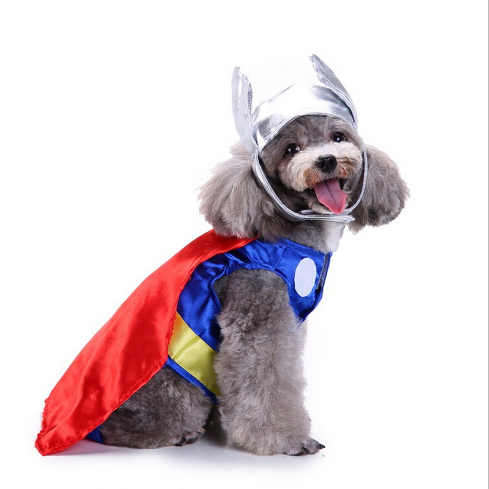 Winter & Holiday Pet Costume