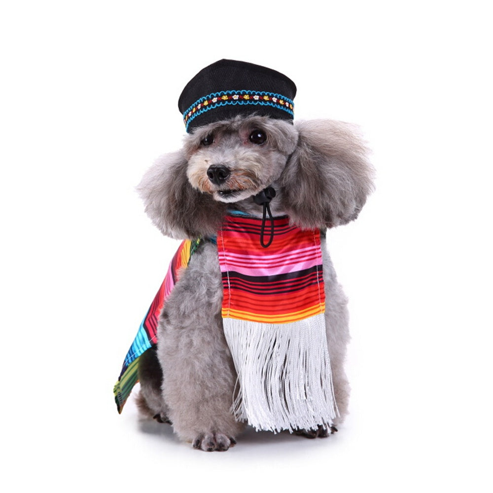 Winter & Holiday Pet Costume