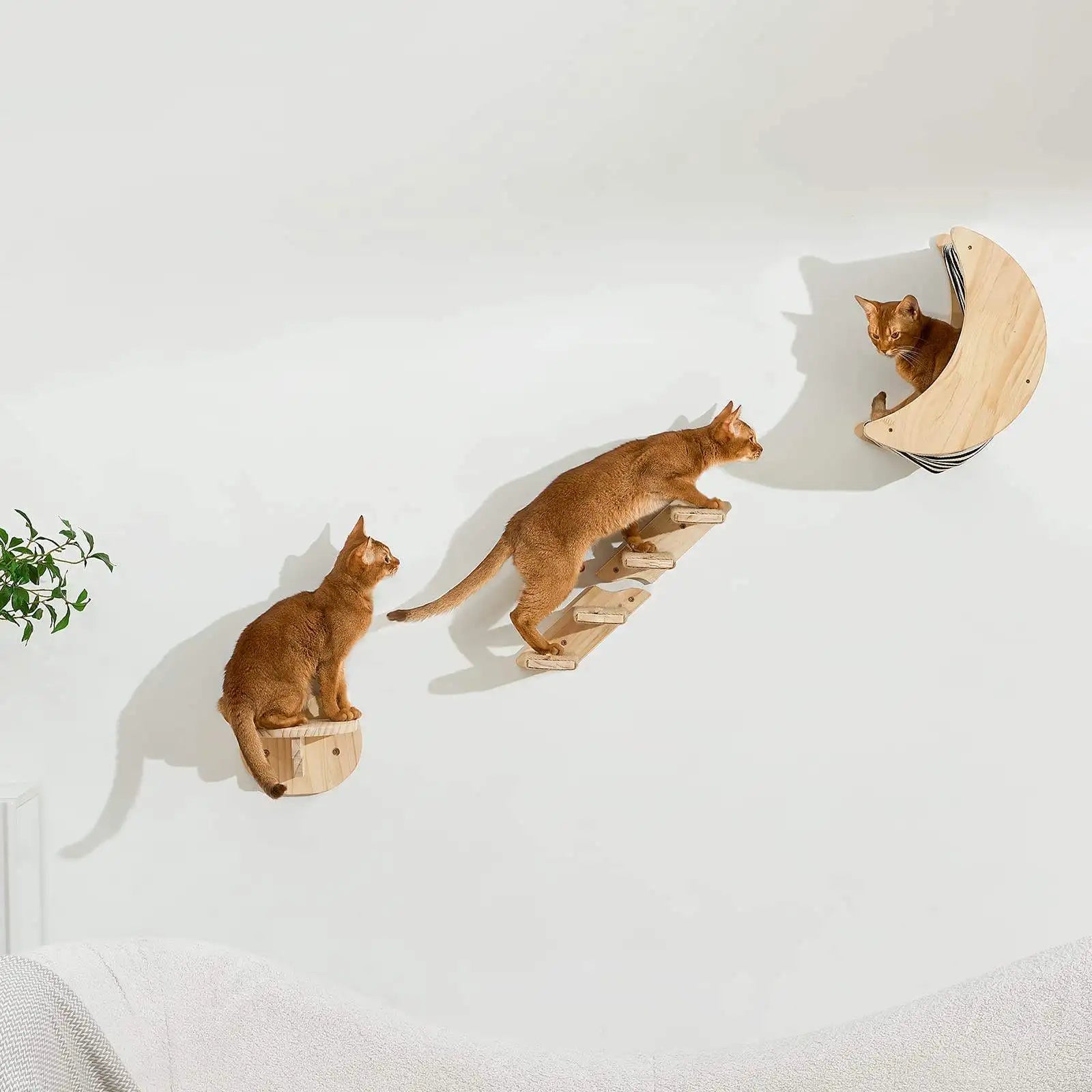 Wall-Mounted Cat Shelves & Climbing Set