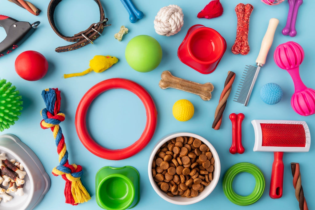 What Types of Dog Accessories Should I Buy for My Pet?