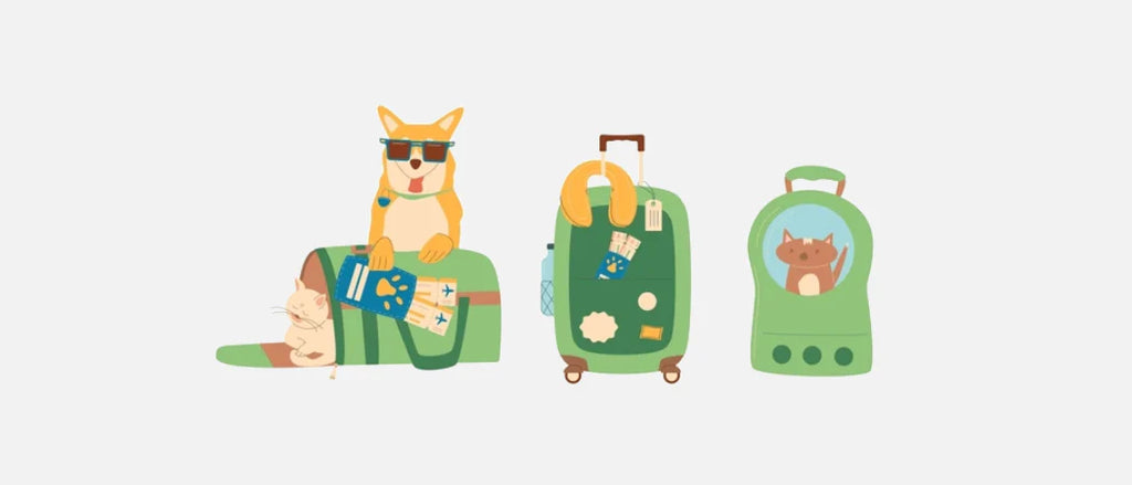 How to Choose Durable Dog Toys? Handle Your Pet's Chewing Habits with Ease!