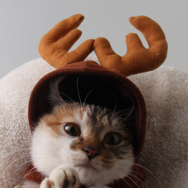 Teddy Dog and Cat Antler Toy
