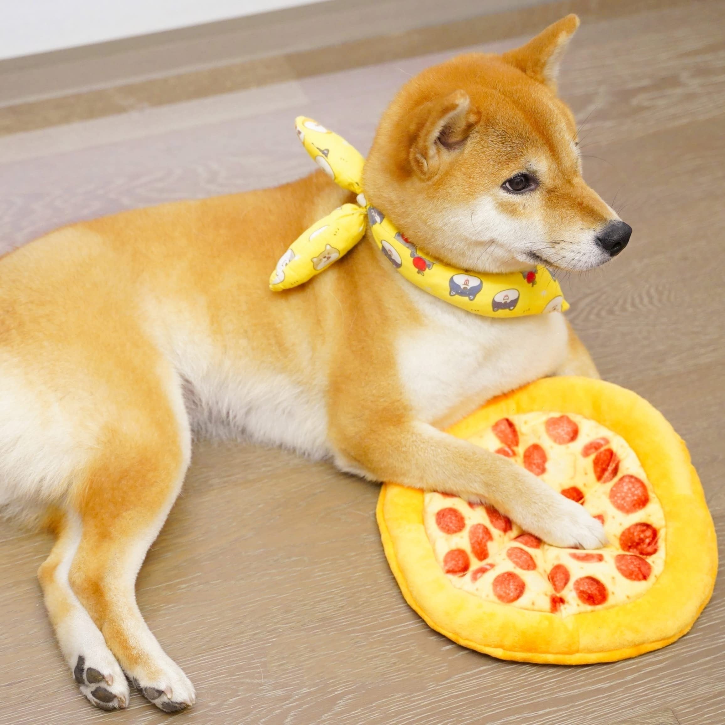 Teddy Pizza Squeaky Durable Dog Chew Toy