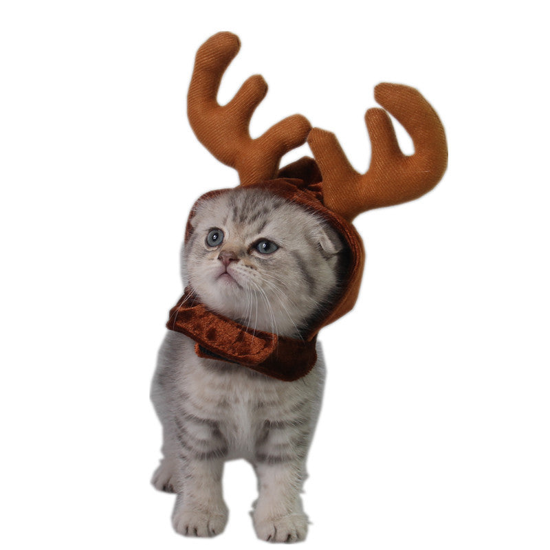 Teddy Dog and Cat Antler Toy