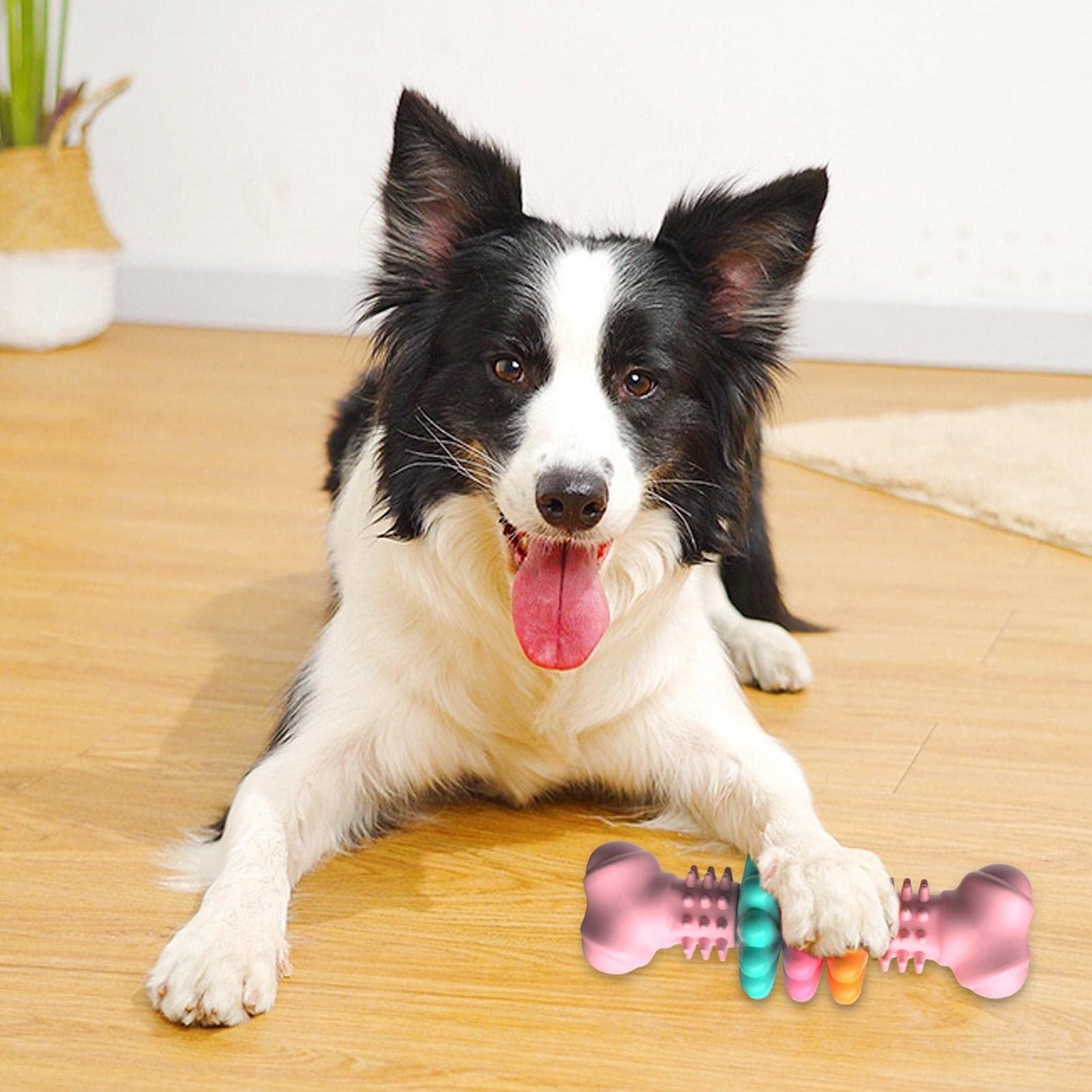 Dogs Teeth Cleaning Toys Indestructible TPR Bone Chewing Bite Resistant