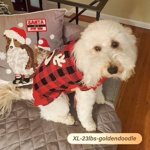 B087C5BTY7-019a74e5-c3a4-4be5-8991-3359ef905e7b