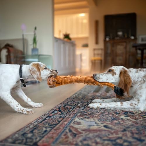 SHARLOVY Dog Squeaky Toys 5 Pack, Pet Crinkle Toy No Stuffing Animals Plush, Dog Chew for Large and Medium, Small Puppy Teething for Boredom