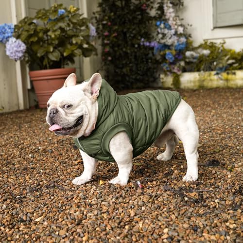 Fleece Dog Hoodie with Built-in Harness – Red XL