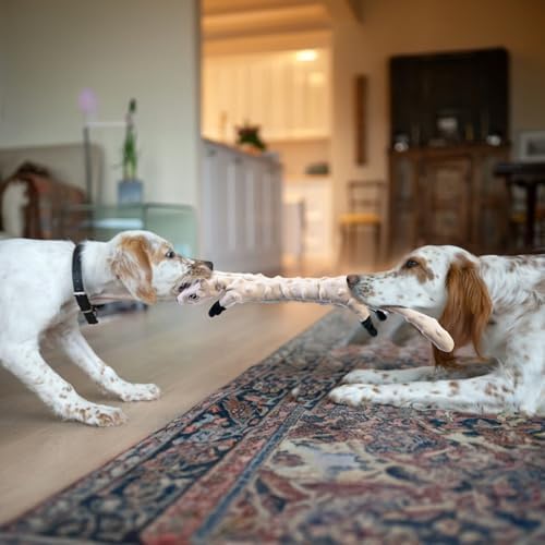 SHARLOVY Dog Squeaky Toys 5 Pack, Pet Crinkle Toy No Stuffing Animals Plush, Dog Chew for Large and Medium, Small Puppy Teething for Boredom