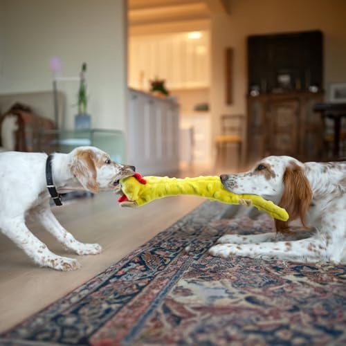 SHARLOVY Dog Squeaky Toys 5 Pack, Pet Crinkle Toy No Stuffing Animals Plush, Dog Chew for Large and Medium, Small Puppy Teething for Boredom