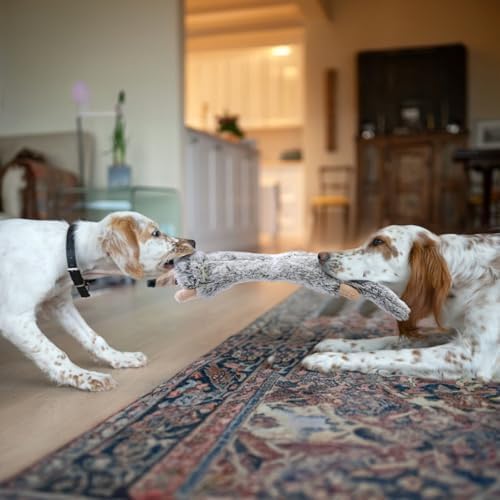 SHARLOVY Dog Squeaky Toys 5 Pack, Pet Crinkle Toy No Stuffing Animals Plush, Dog Chew for Large and Medium, Small Puppy Teething for Boredom