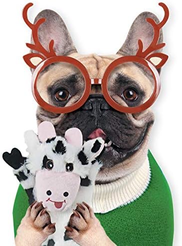 SHARLOVY Dog Squeaky Toys 5 Pack, Pet Crinkle Toy No Stuffing Animals Plush, Dog Chew for Large and Medium, Small Puppy Teething for Boredom