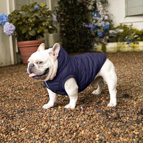 Fleece Dog Hoodie with Built-in Harness – Red XL
