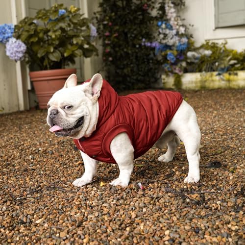 Fleece Dog Hoodie with Built-in Harness – Red XL