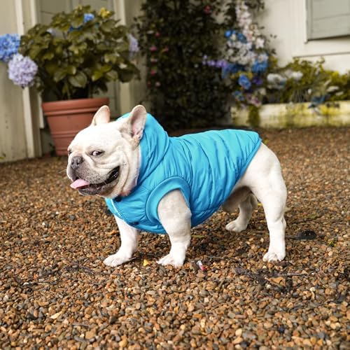 Fleece Dog Hoodie with Built-in Harness – Red XL