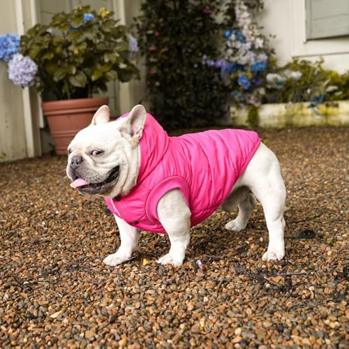 Fleece Dog Hoodie with Built-in Harness – Red XL