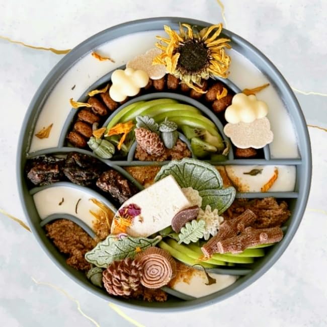 Silicone Puppy Cat Food Bowl with Anti-Slip Suction Cup