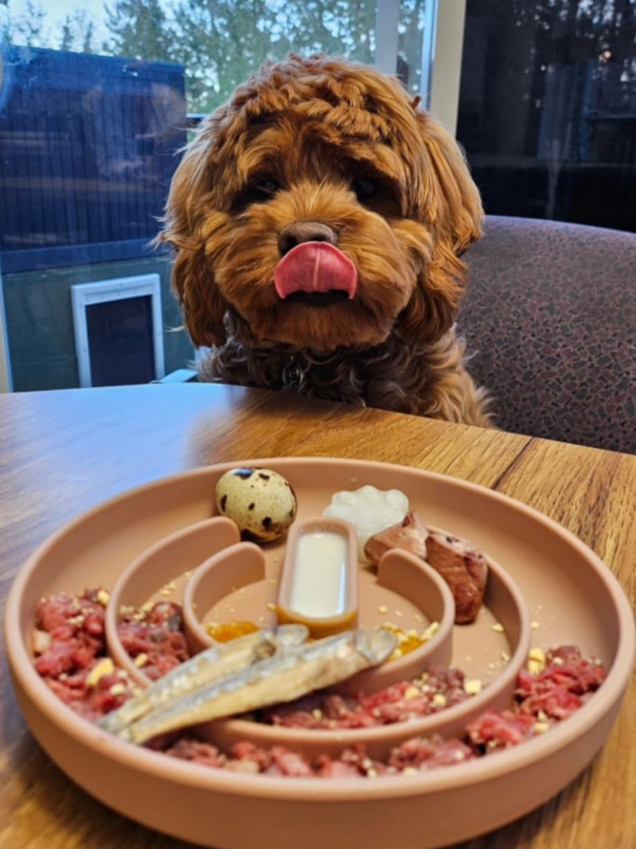 Silicone Puppy Cat Food Bowl with Anti-Slip Suction Cup