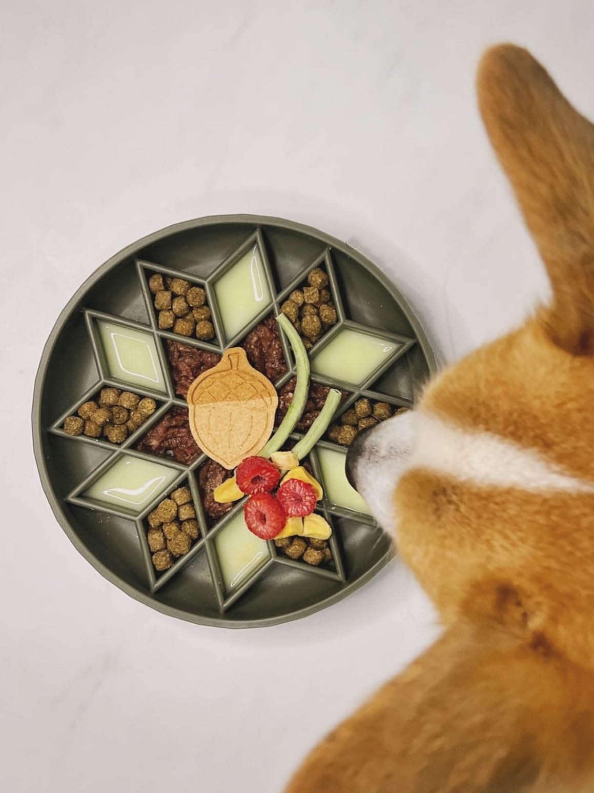 Silicone Puppy Cat Food Bowl with Anti-Slip Suction Cup