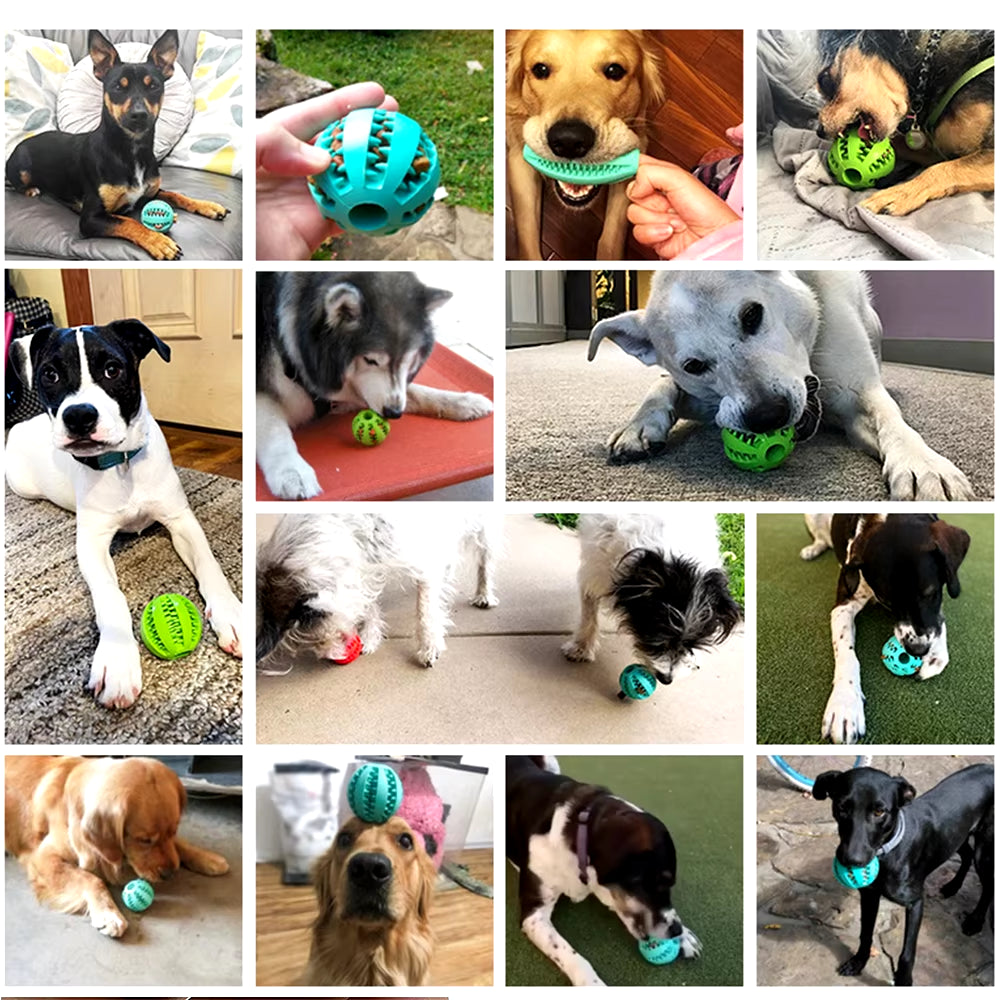 Dog Food and Treat Feeder/ Bite Resistant Rubber Toy Ball (Color & Size Options)