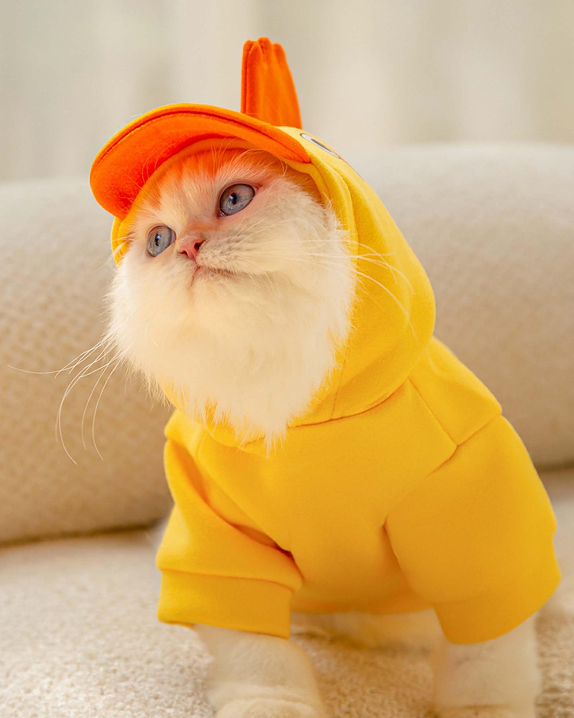 Halloween Pet Chicken  Costume Outfits for Small Dog