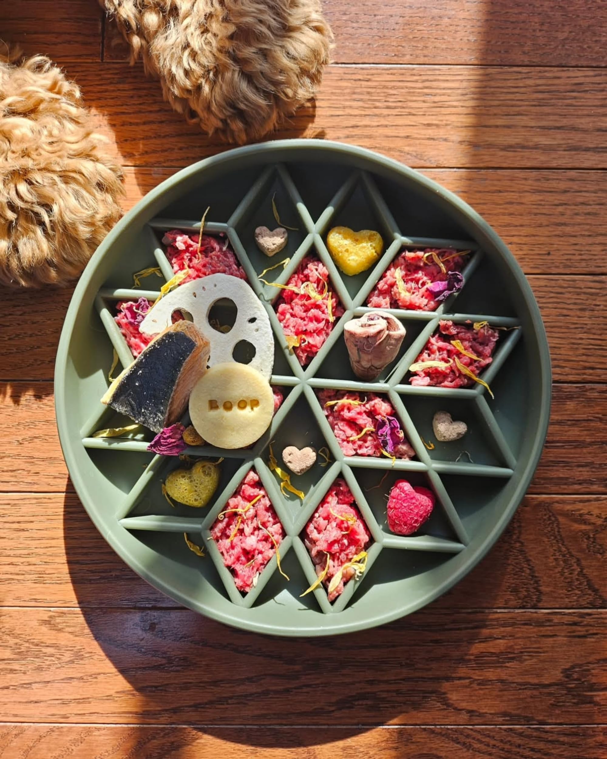 Silicone Puppy Cat Food Bowl with Anti-Slip Suction Cup