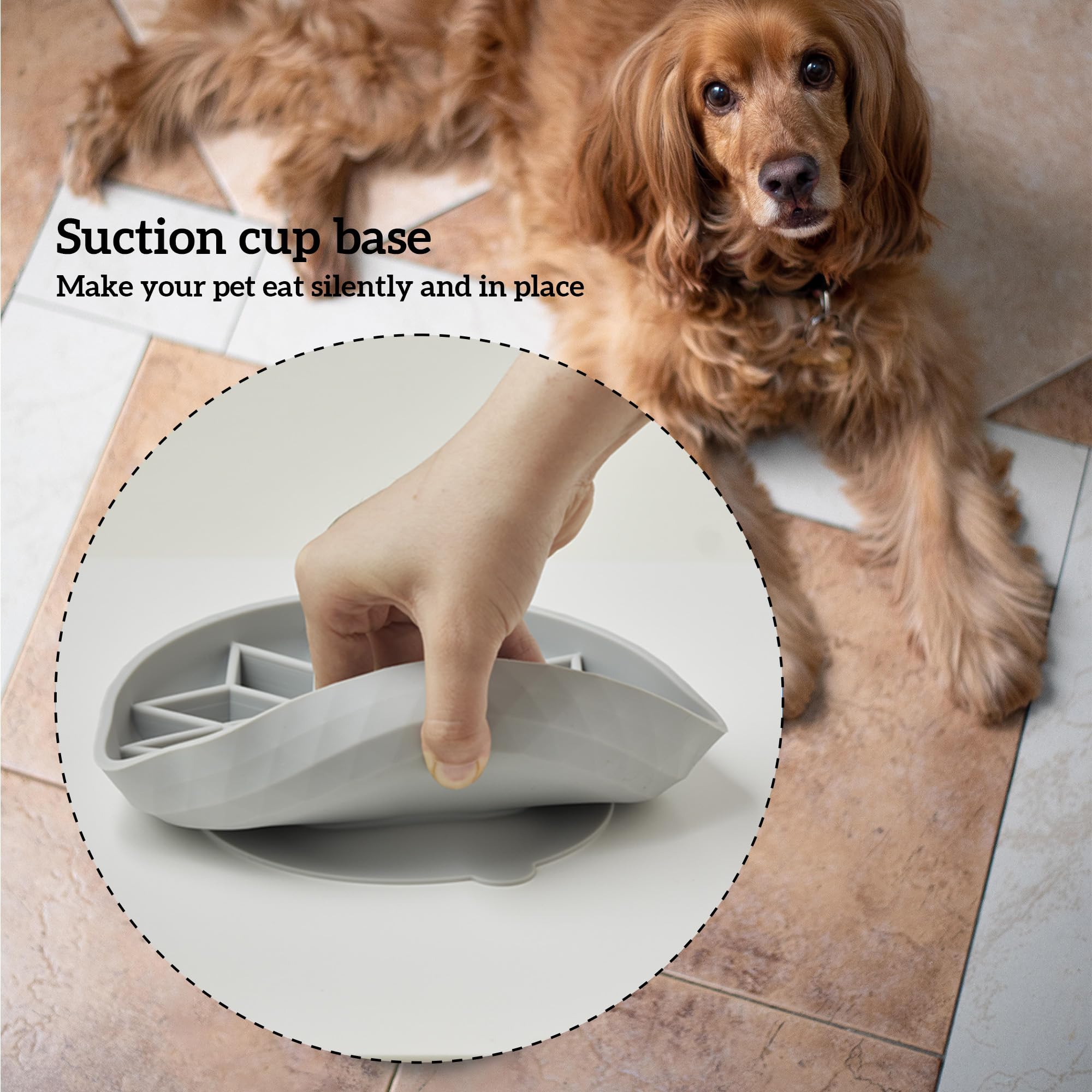 Silicone Puppy Cat Food Bowl with Anti-Slip Suction Cup
