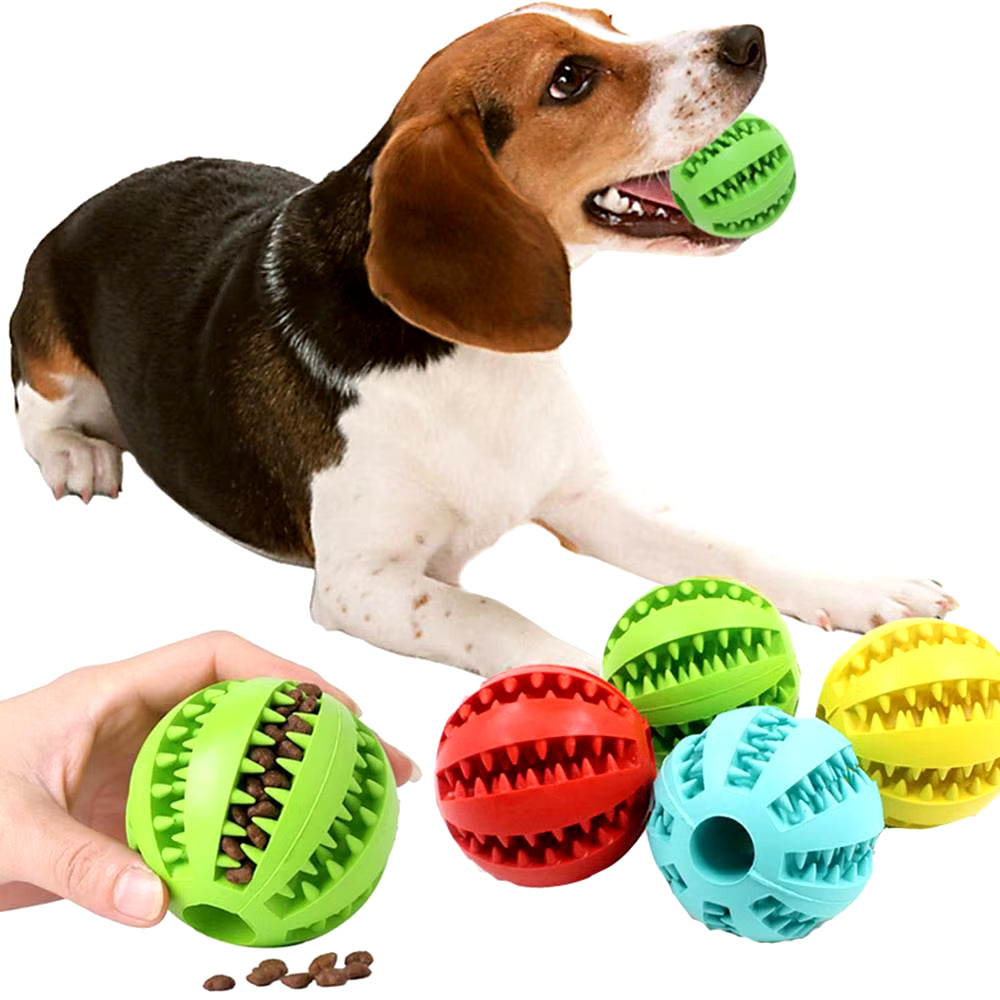 Dog Food and Treat Feeder/ Bite Resistant Rubber Toy Ball (Color & Size Options)