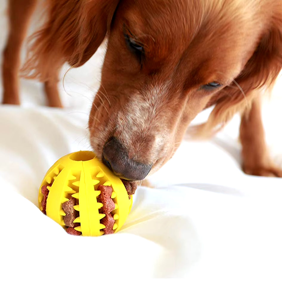 Dog Food and Treat Feeder/ Bite Resistant Rubber Toy Ball (Color & Size Options)