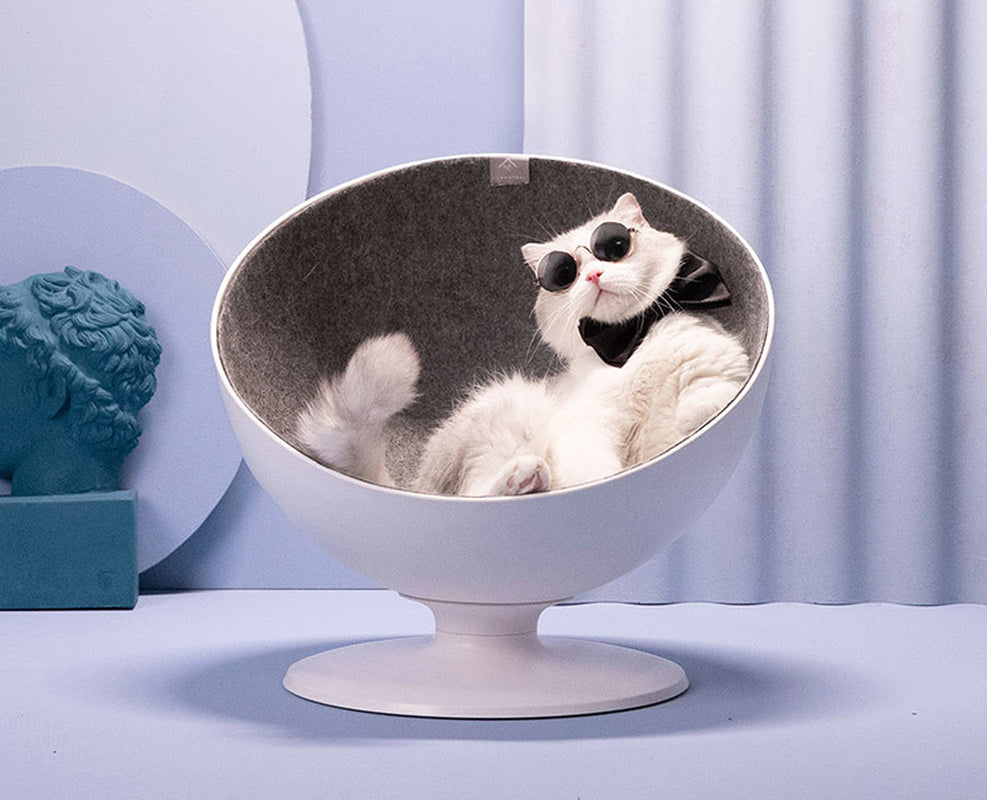 Swivel Cat Cradle