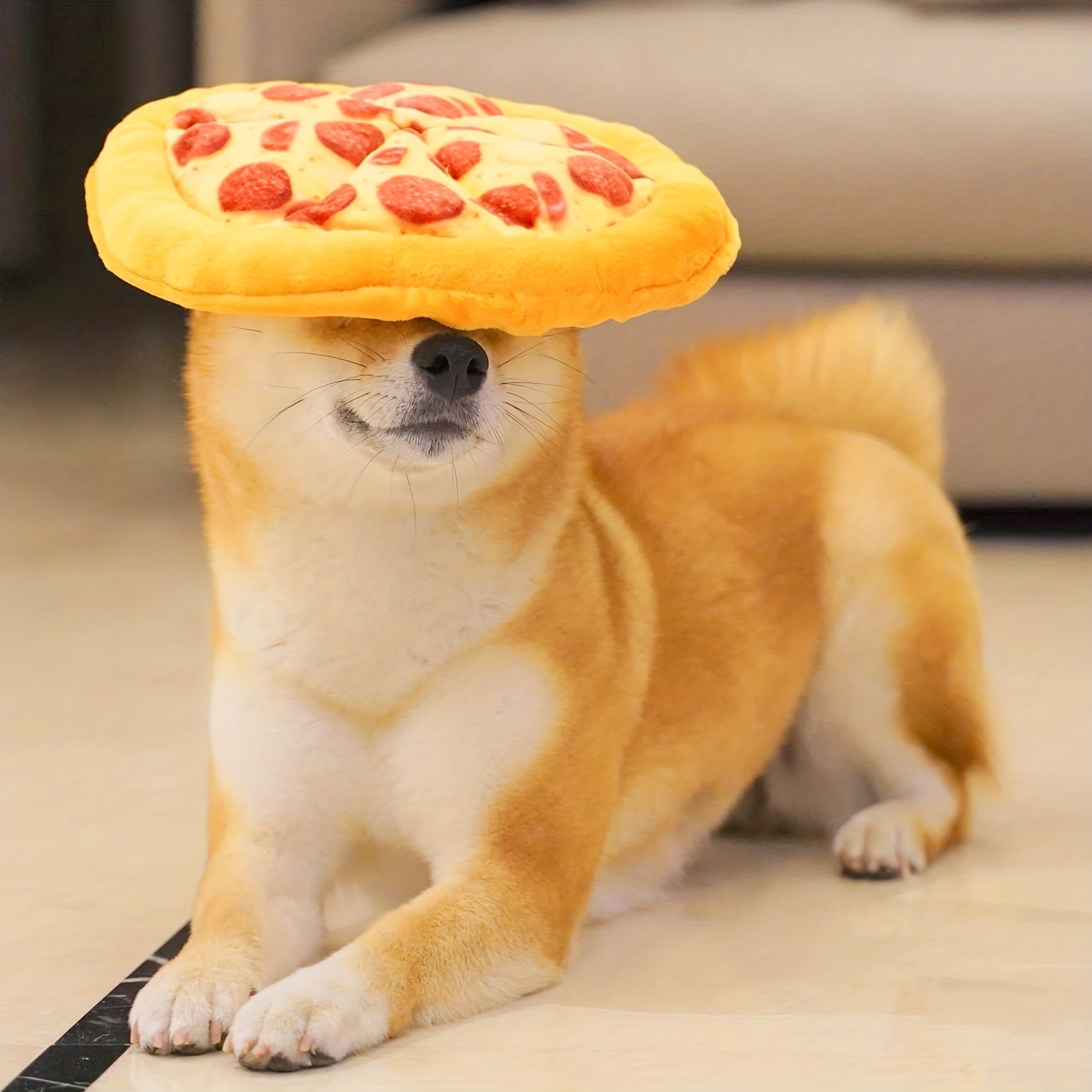 Teddy Pizza Squeaky Durable Dog Chew Toy