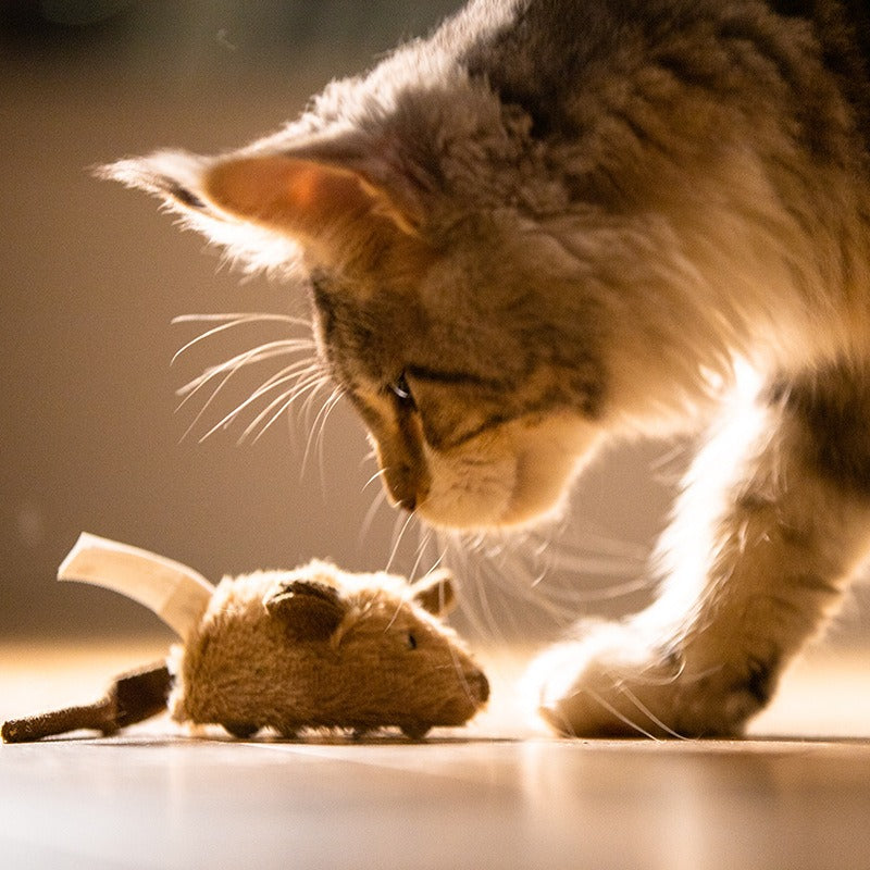 Interactive Plush Mouse Cat Toy with Sound